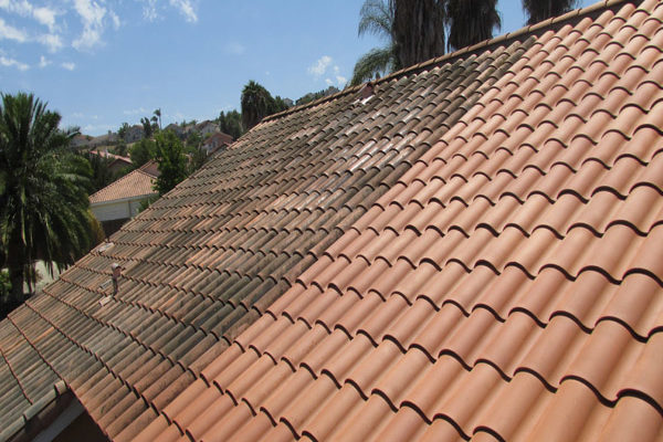 roofcleaning1-c